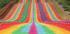Rainbow Slide Construction Guide: Foundation-Free vs. Steel Frame